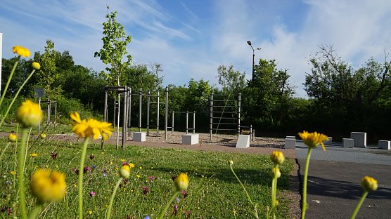 Bild: 