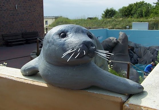 Abstecher nach Friedrichskoog (Foto: S. Tetzel) Abstecher nach Friedrichskoog (Foto: S. Tetzel)