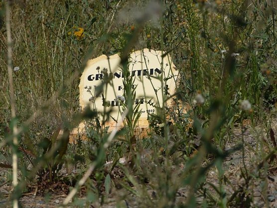 Unterschiede (Foto: nnz) Unterschiede (Foto: nnz)