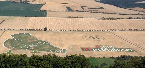 Die letzte Chance (Foto: privat)