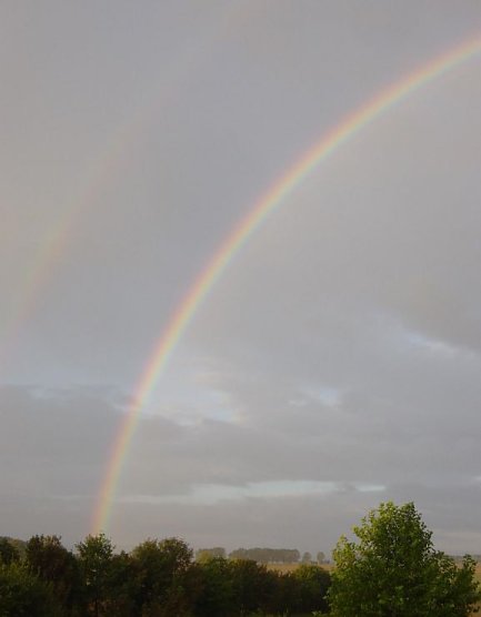 regenbogen (Foto: privat)