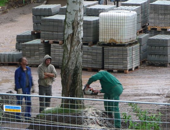 Parkplatz soll entstehen (Foto: privat)