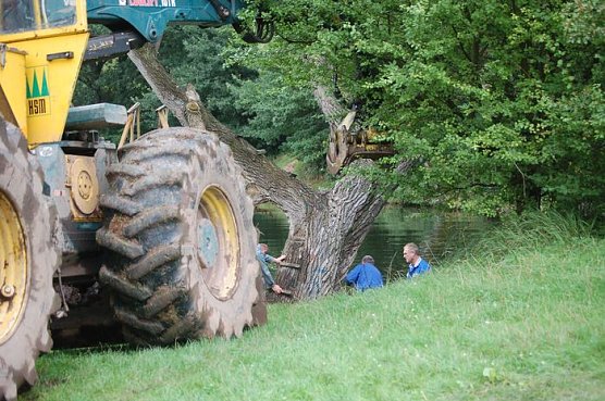 Geangelt (Foto: H. Michel) Geangelt (Foto: H. Michel)