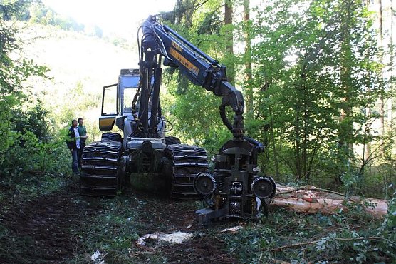 Waldarbeiten (Foto: I. Bergmann)