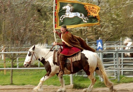 Schöne Pferde (Foto: privat) Schöne Pferde (Foto: privat)