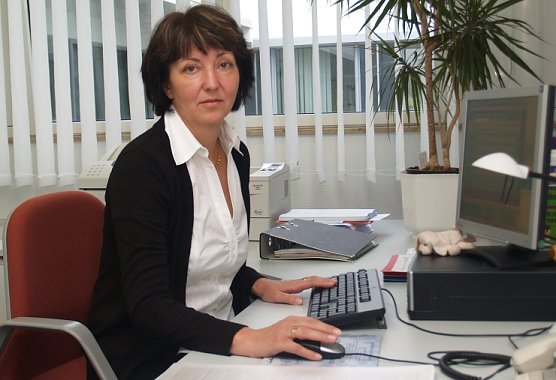 Fernschild (Foto: SHK)