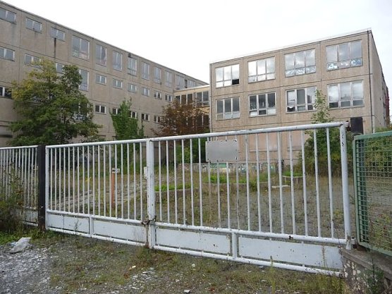 Das Objekt der Begierde (Foto: nnz)