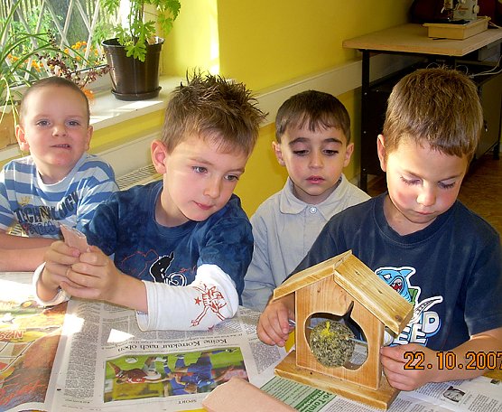Geschickte H&auml;uslebauer (Foto: nnz)