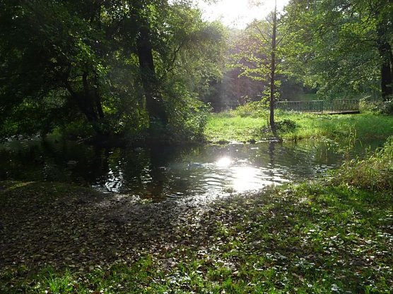 Herbst im Nordhäuser Stadtpark (Foto: privat) Herbst im Nordhäuser Stadtpark (Foto: privat)