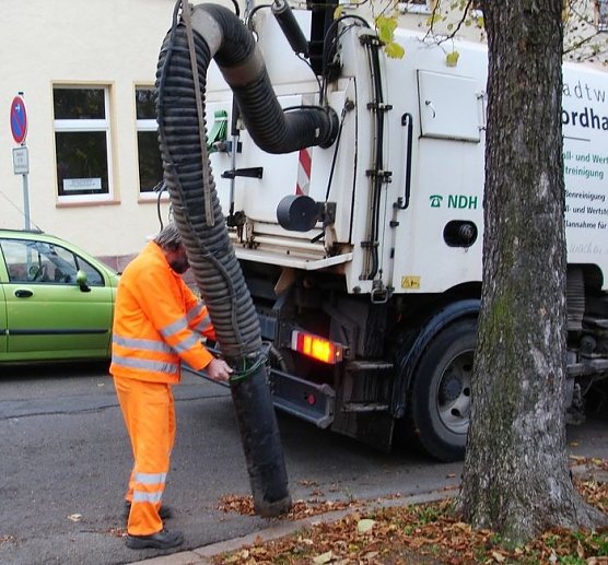 Laub weg (Foto: Gabriela Sennecke) Laub weg (Foto: Gabriela Sennecke)