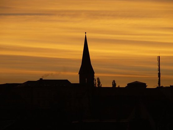 Aufgegangen (Foto: nnz)