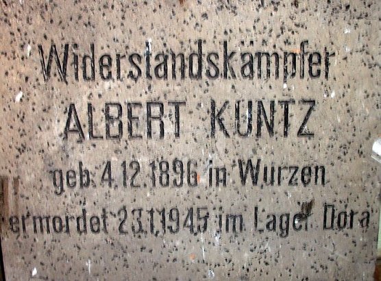 Platte (Foto: privat)