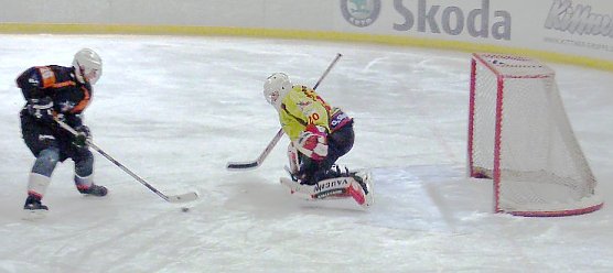 Glanztat (Foto: R. Koch)