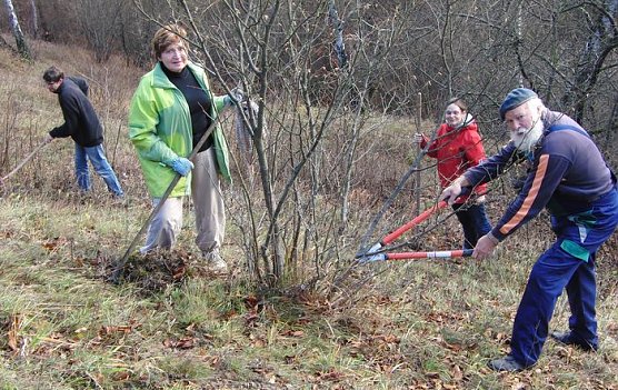 Arbeitseinsatz (Foto: B. Schwarzberg)