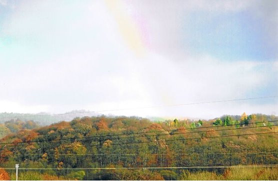 Regenbogenfarben (Foto: privat)