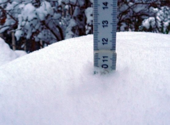 Schneehöhe in Nordhausen (Foto: privat) Schneehöhe in Nordhausen (Foto: privat)