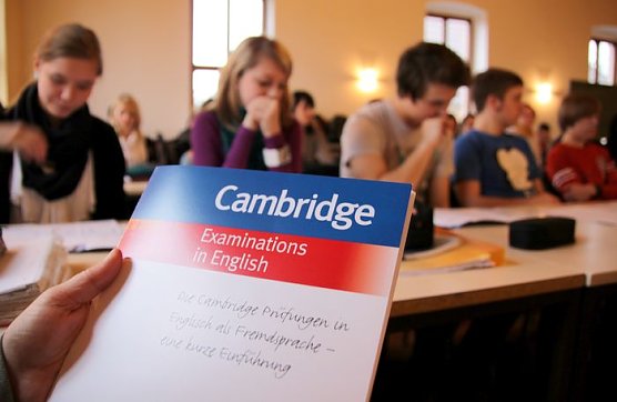 Mal geschnuppert (Foto: J. Piper)