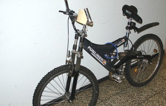 Besitzer gesucht (Foto: pol)