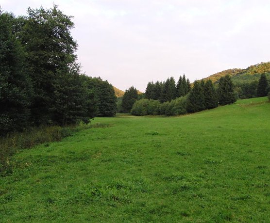 Brandesbachtal (Foto: B. Schwarzberg) Brandesbachtal (Foto: B. Schwarzberg)