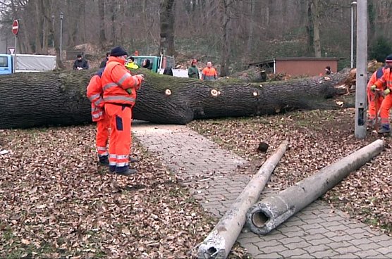 Umgest&uuml;rzt (Foto: nnz)