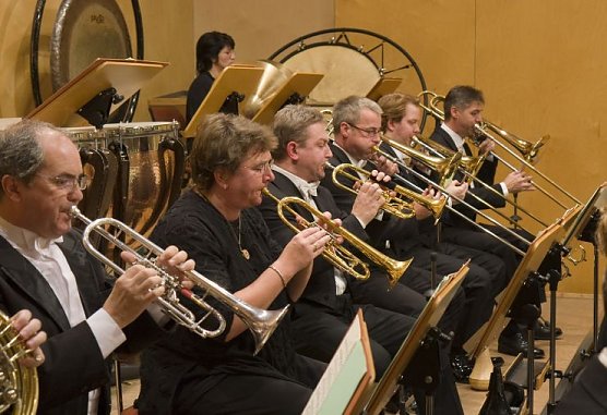 Musikalische Narren (Foto: T. Graner) Musikalische Narren (Foto: T. Graner)