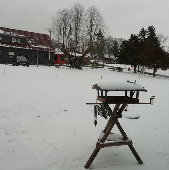 Bild: Sopjienhof im Schnee