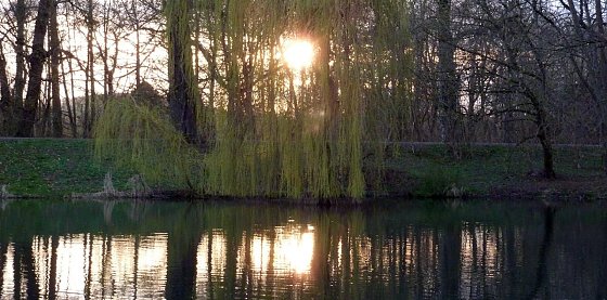 Bild: "Untergang" im Park