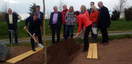Bild: Baum gepflanzt