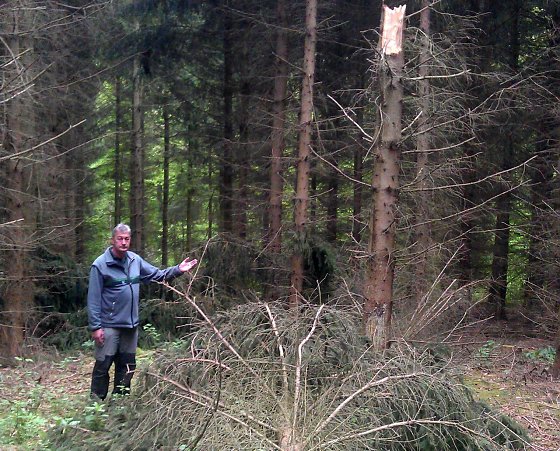 Bild: Abgeknickt