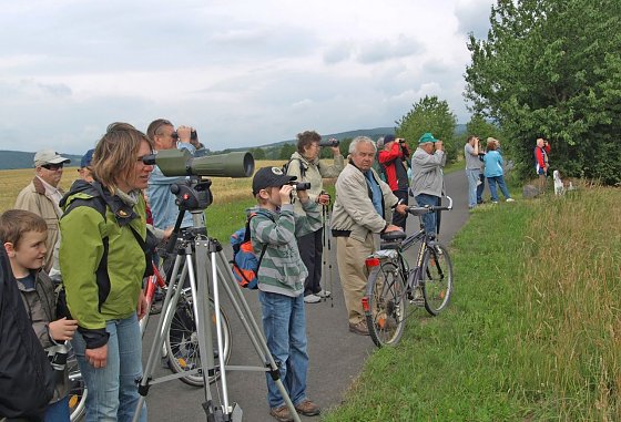 Bild: Viel zu sehen am langen Tag der Natur