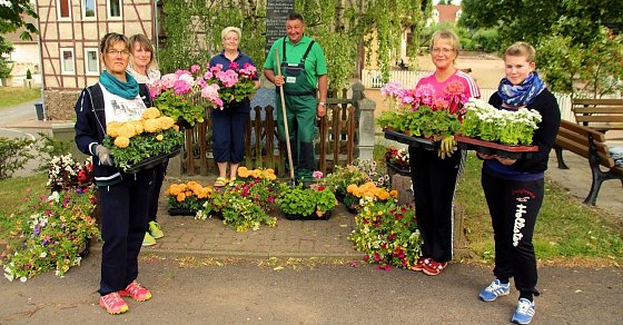 Bild: Farbenfreude durch Blumen