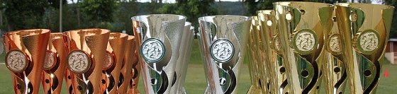 Bild: Kinderolympiade in Niedergebra