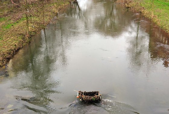 Bild: Das Ding im Fluss
