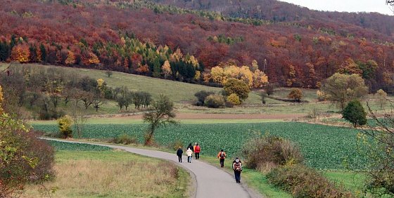Bild: Unterwegs im S&uuml;dharz
