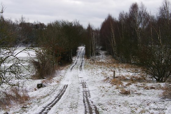 Bild: Wetter-Bild
