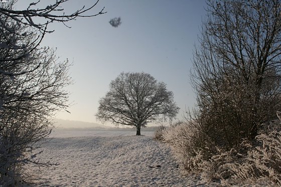 Bild: Wetter-Bild