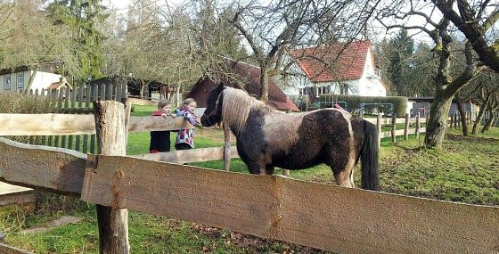Bild: Feriencamp in Harzrigi