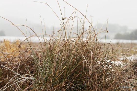 Bild: Wetter-Bild