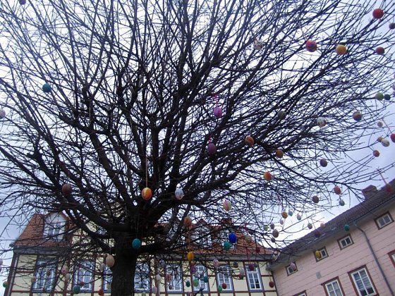 Bild: Ostereier h&auml;ngen am Baum