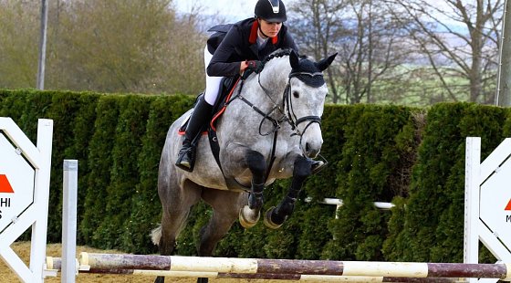 Bild: Reiten und Fu&szlig;ball