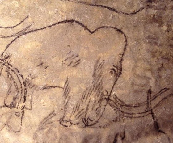 Bild: Mammut in der H&ouml;hle