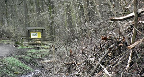 Bild: Katastrophe im Naherholungsgebiet