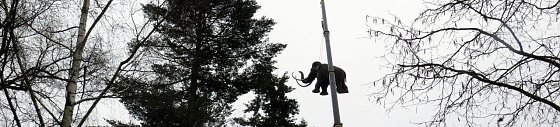 Bild: Das Mammut am Haken
