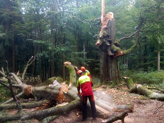 Bild: Wanderweg wurde gesichert