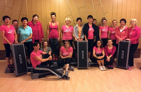 Bild: Fitness Stepper f&uuml;r Leimbacher Frauensport