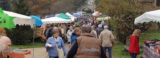 Bild: Bauernmarkt in Braunsroda