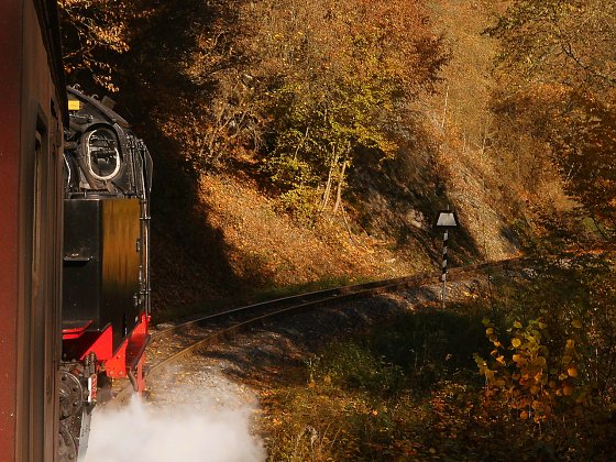 Bild: Goldener Herbst im Selketal
