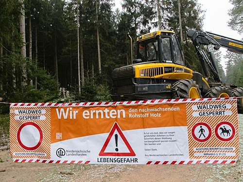 Bild: Holzernte bei den Nachbarn