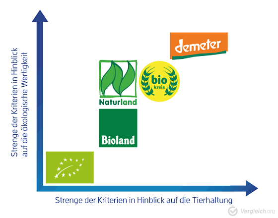 Bild: Grafik