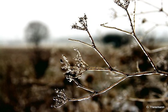 Bild: Wetter-Bild